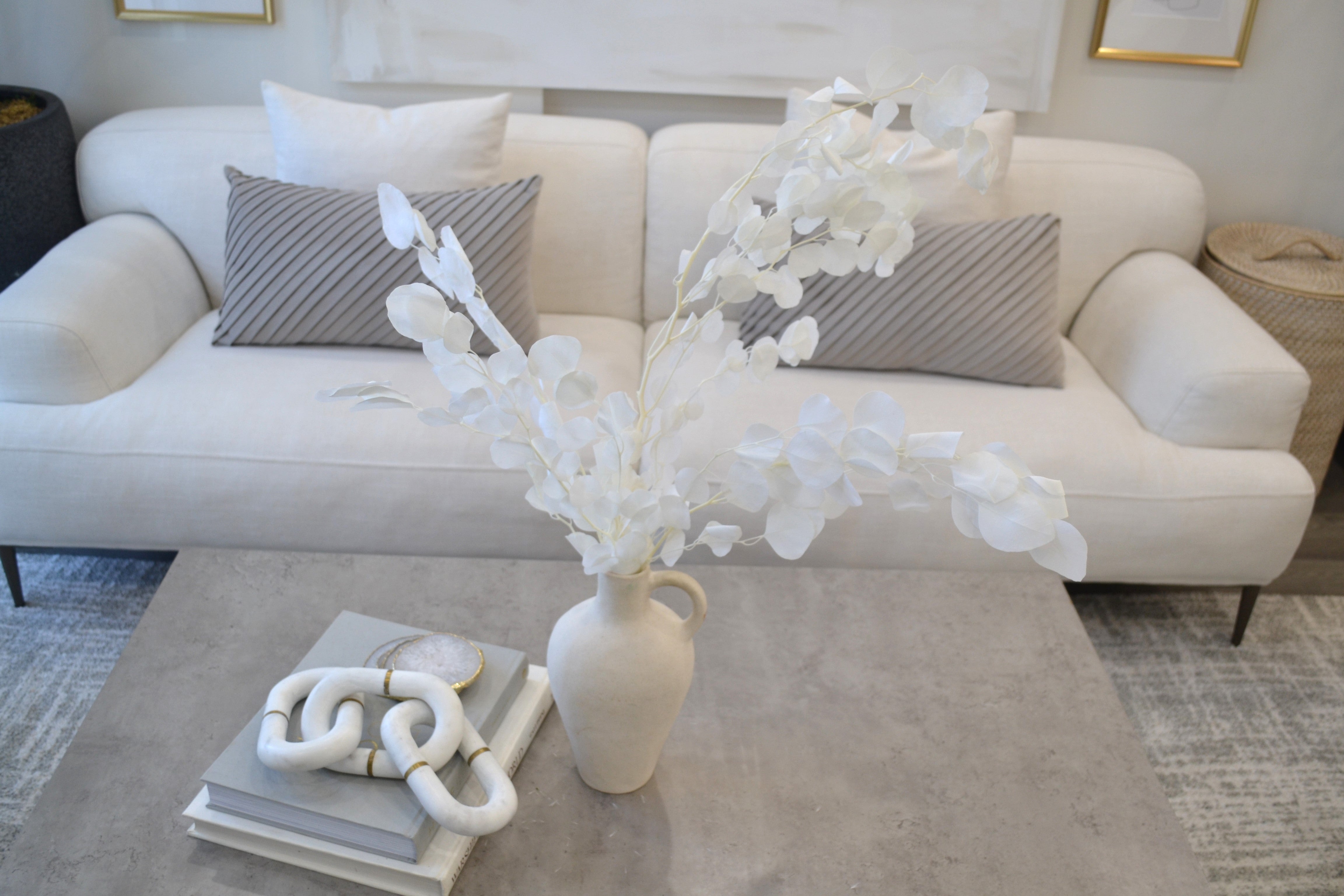 Silver Dollar Eucalyptus